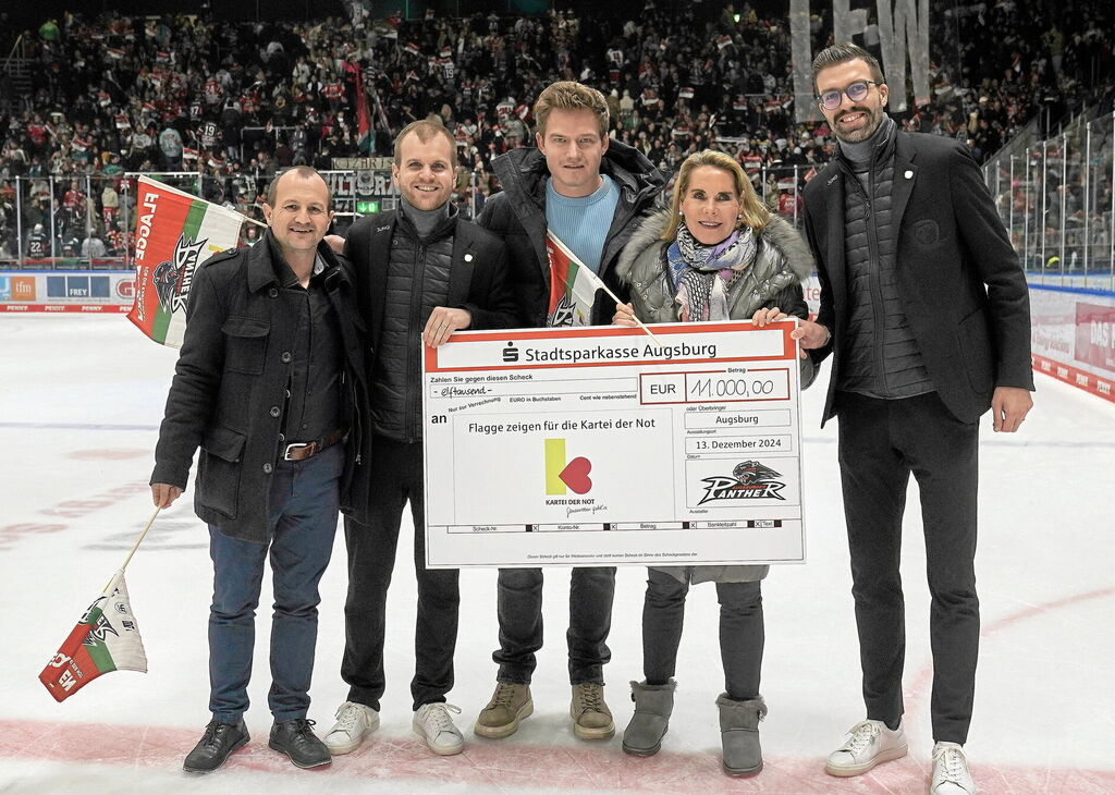 Eishockey-DEL--Saison-2024-25----Panther